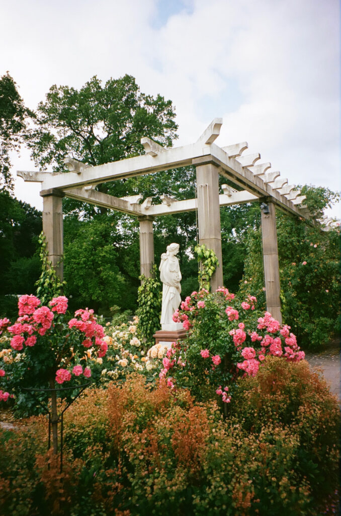 Wedding on Film